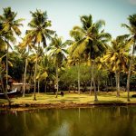 Kerala Journey
