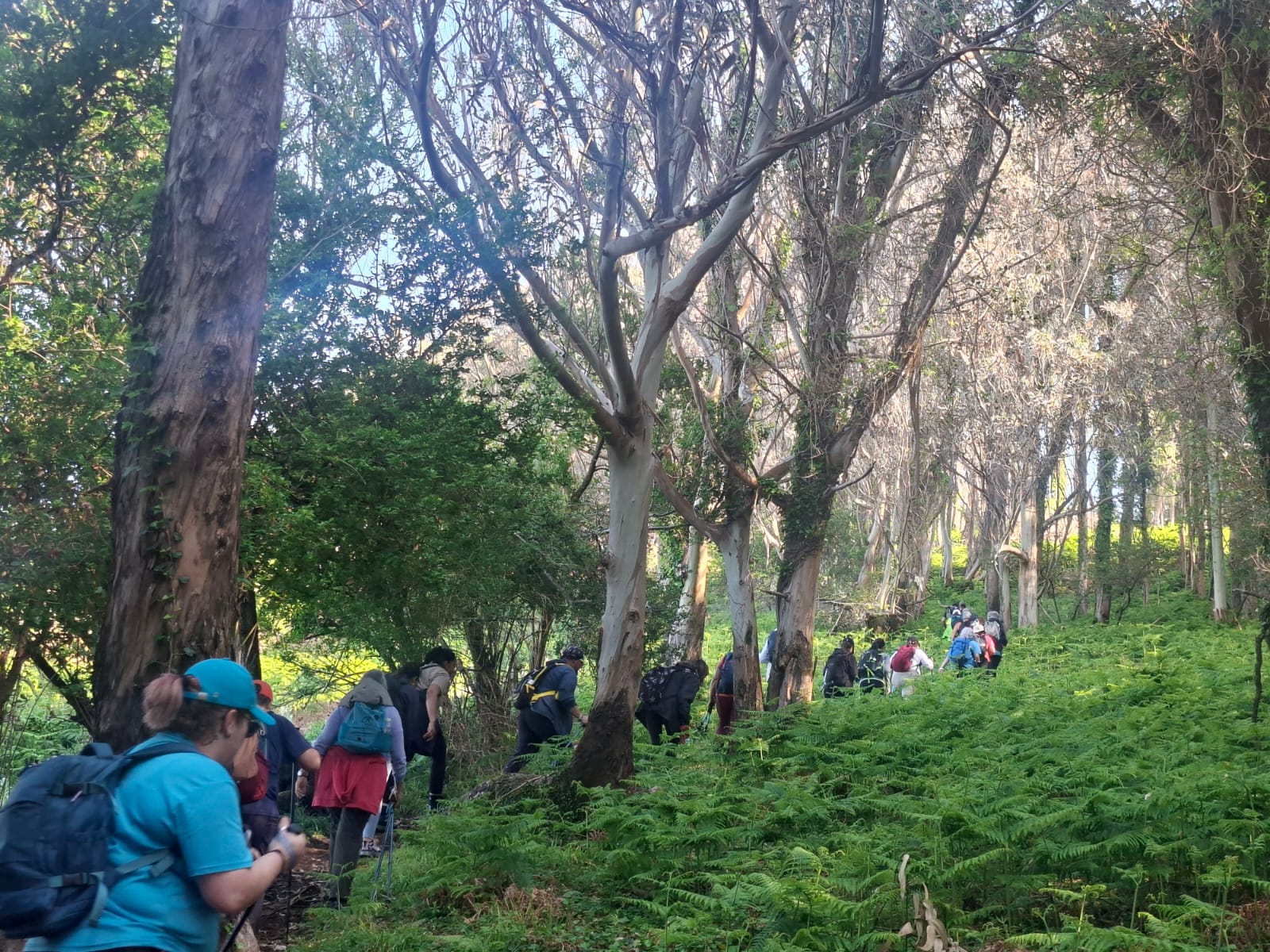 camino de santiago